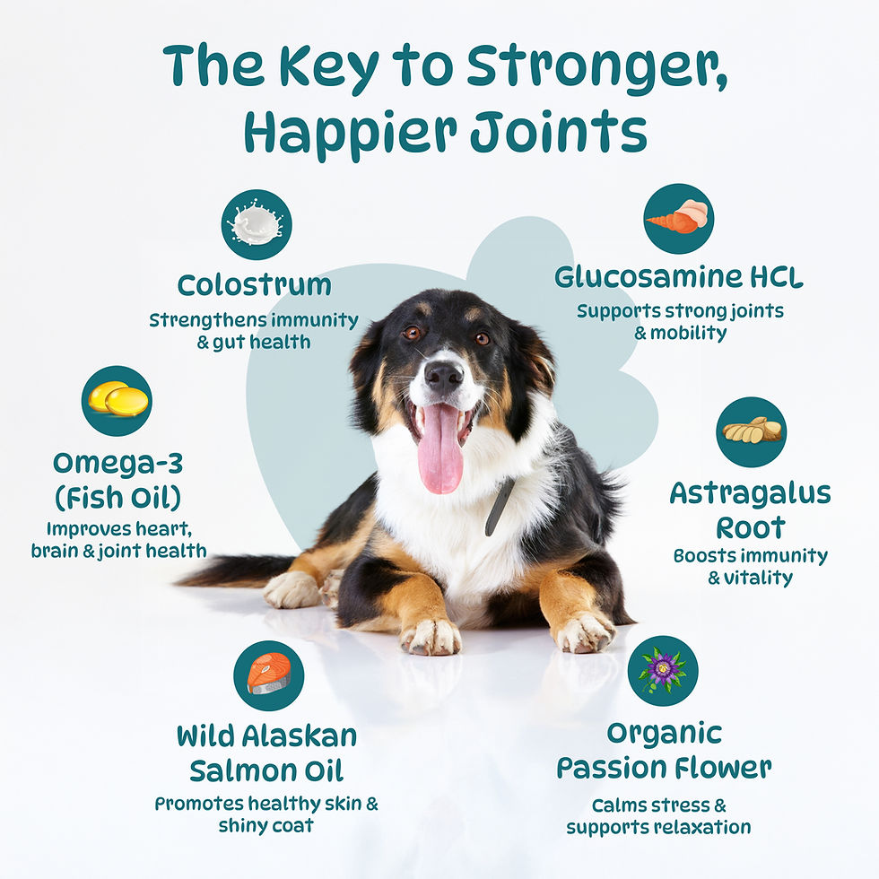 Thumbnail: 25 in 1 Multivitamin for Dogs, 100 Counts Dog Vitamins and Supplements