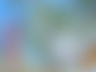 スリランカ【美しき樹齢2300年の菩提樹