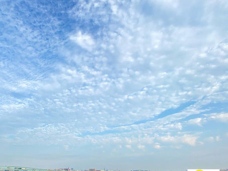 泣く方、結構いらっしゃいます