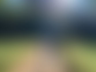 スリランカ【シーギリアロックの景色】