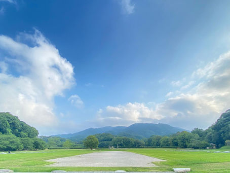 自然の中で呼吸を吐く