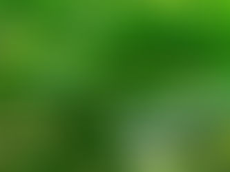 6月1日より森をツナグの整体を再開いたします!