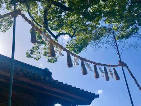 『ルーツをたどるセッション』ご感想をいただきました❣️