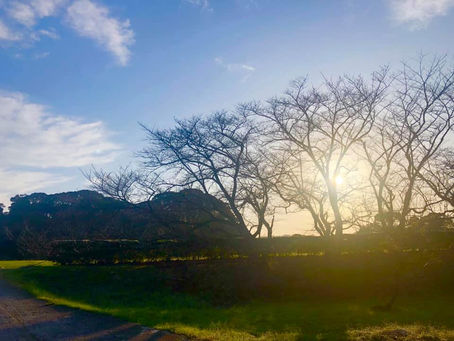 感想という名の、あったかい思いのこもったラブレターを受け取りました☺️