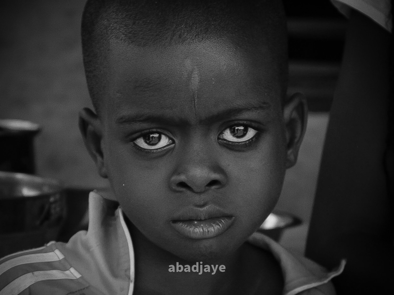 20. Le Regard qui Parle (Edition limité)