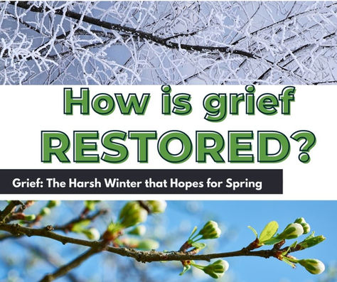 Healing from Grief: The Harsh Winter that Hopes for Spring