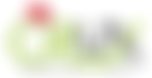 Well, wasn’t that a challenging year?