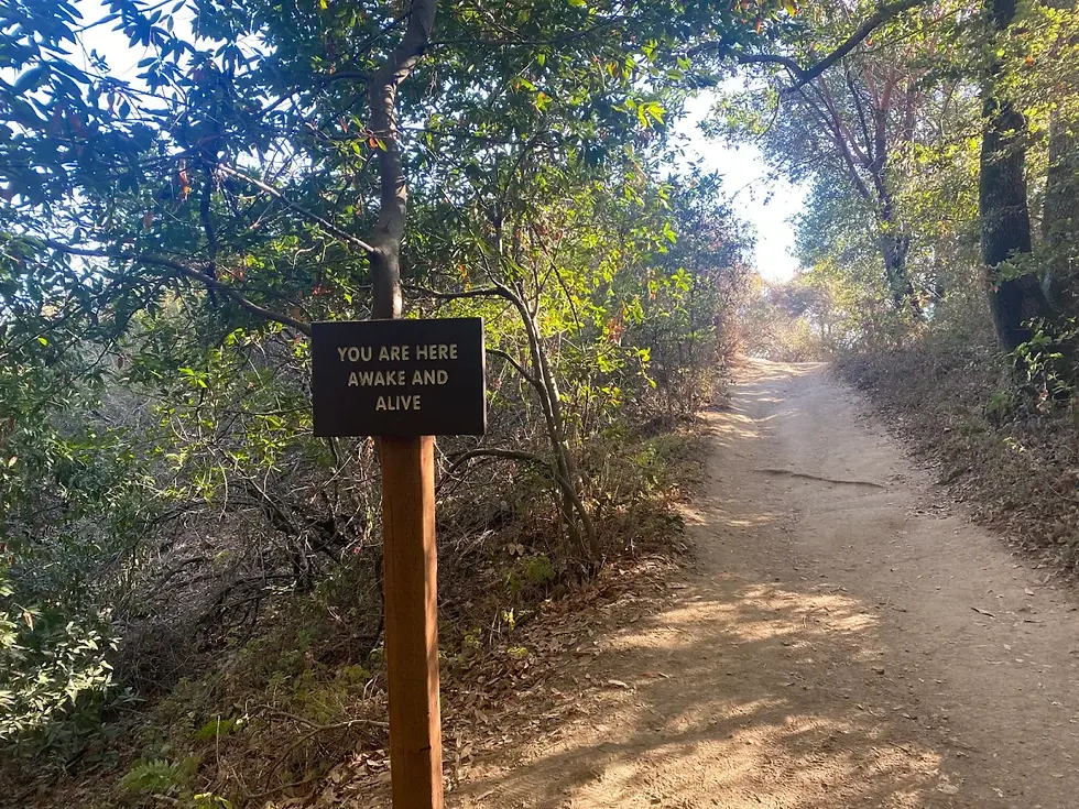 Nature Trails as Sacred Spaces: Walking with Reverence