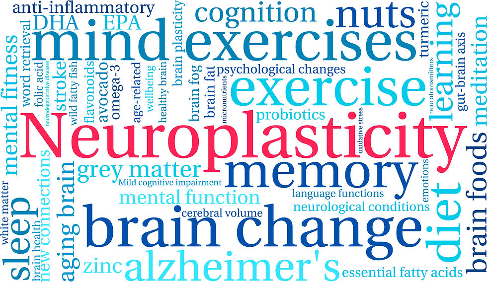 neuroplasticity
