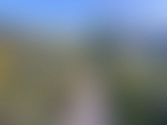 Walking the Magdalene Trail Through Provence