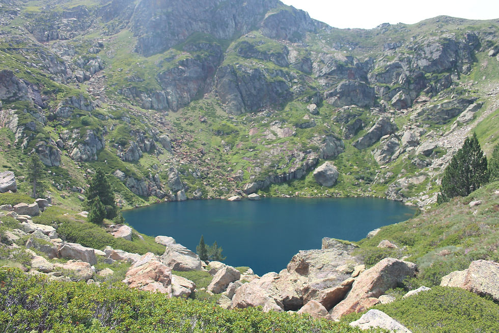 etang des truites