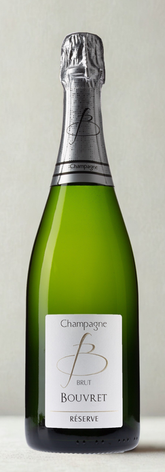 Champagne, Pinot Noir, Chardonnay, Aube, Aube en Champagne, Winemakers, Cellar Tour, independent winegrower, vineyards, Côte des Bar