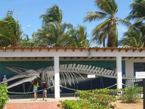 XXX Aniversario del Museo Marino de Margarita “Fernando Cervigón”
