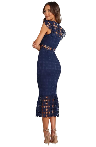 petal & pup lauren lace overlay dress Lauren Dress