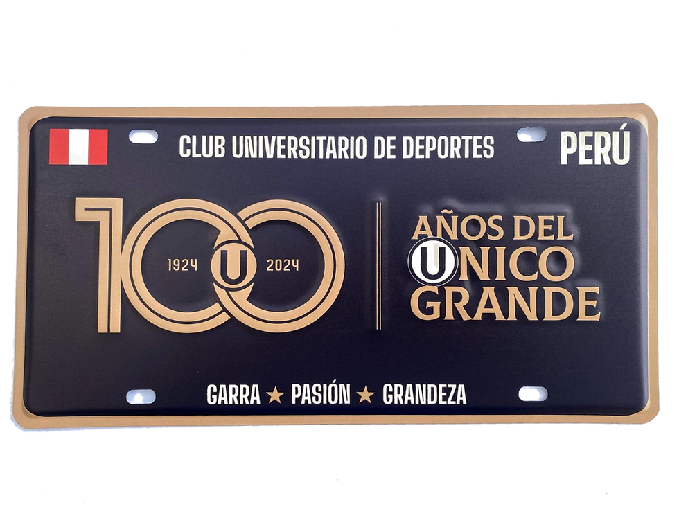 Thumbnail: [OFICIAL] Placas decorativas 2024 U Universitario