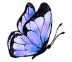 butterfly yellow (2).png