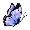 butterfly yellow (2).png