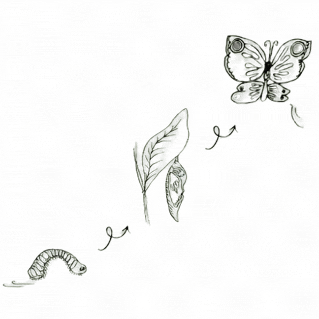 logo animation fast (3).gif