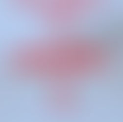 LUUKKU 6 – Vapauden lahja & Early Bird-ilmoittautuminen ensi vuoden ensimmäiseen valmennusryhmään