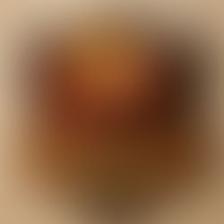 Orientation: BL-101 with Professor Pancake