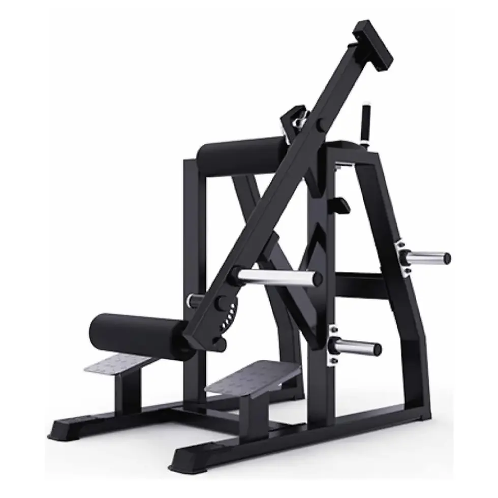 Hiperextensión inversa carga con discos profesional Movifit