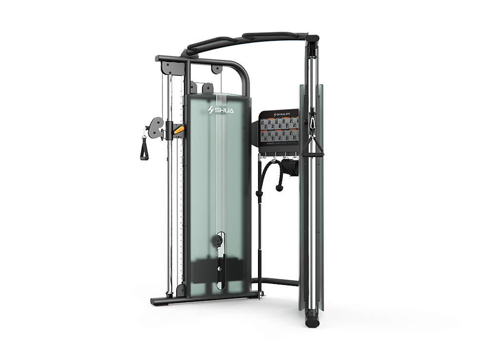 Polea dual / crossover compacto institucional (functional trainer) Shua Fitness