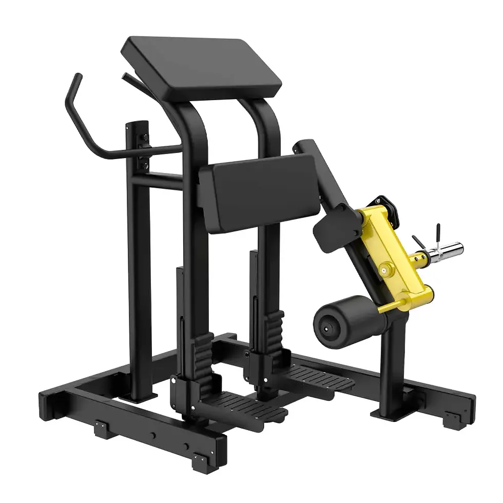 Hammer flexión de pierna de pie  Evolution Pro +