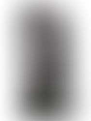 Ibell Prime Tower Fan review 2021