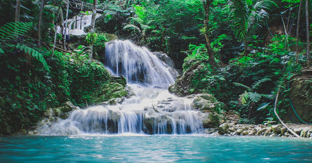 Give Up Hidden Abundance Flow USA 2021