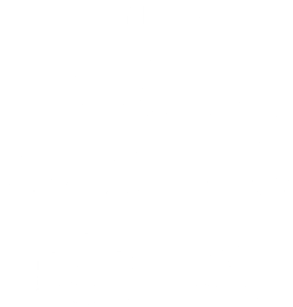 Asset 1.png