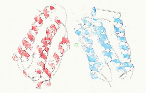 Proteons in the Proteometer