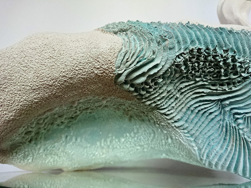 from Earth detail (1).JPG