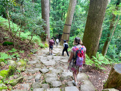 The Kumano Kodo's True Nature: Why It's Not “Japan's Camino”