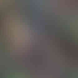 Hiking with friends, Kumano Kodo Ohechi Coastal Route