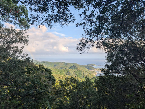 Kumano Kodo Ohechi Route