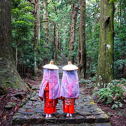 Japan Kumano Kodo Daimonzaka Slope ecotourism