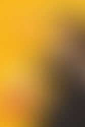 Why You Should Use Pinterest Ads Regularly