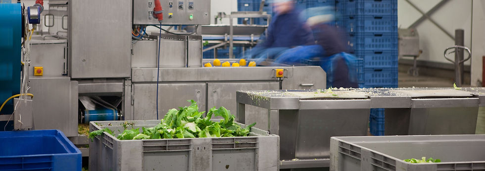 食物制造廠牌照,食品制造廠牌照,Food Factory Licence13.jpg