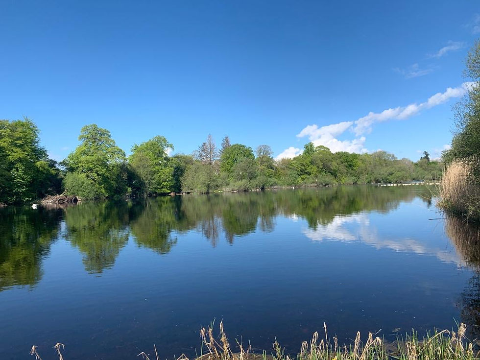 River Shannon View