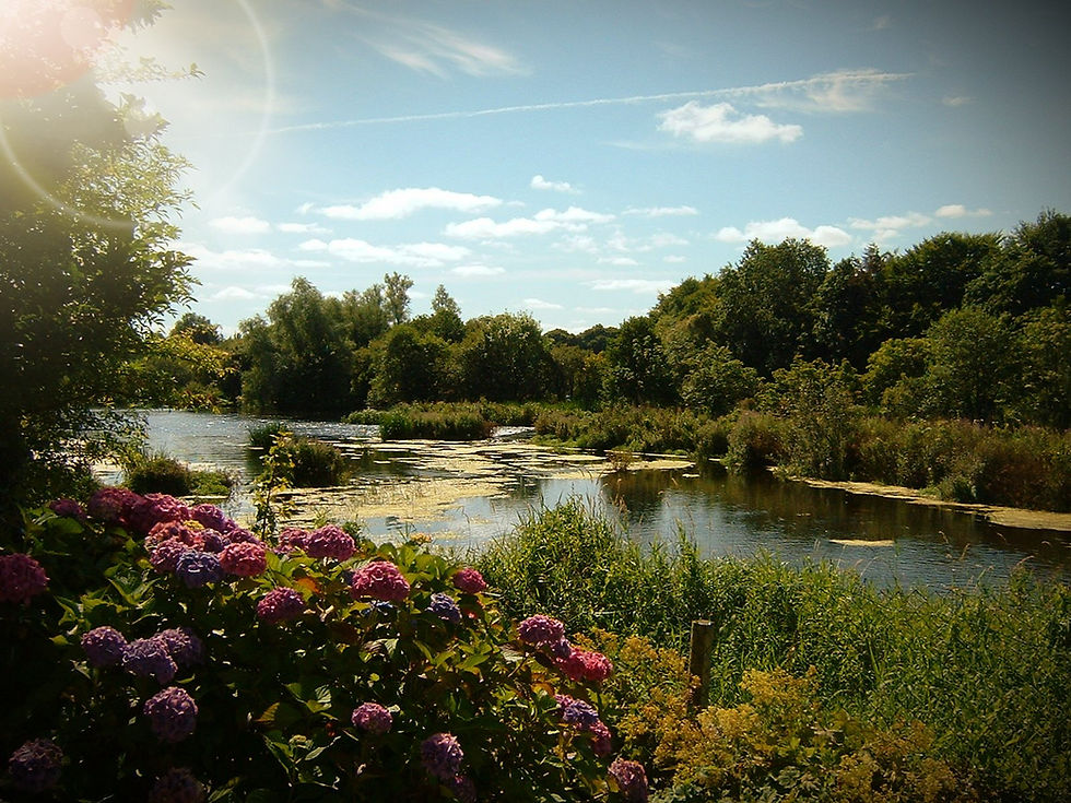 River Shannon View