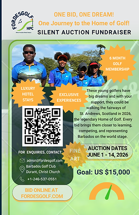 Silent Auction Flyer V2.png