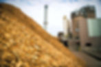 Biomass_plant_edited