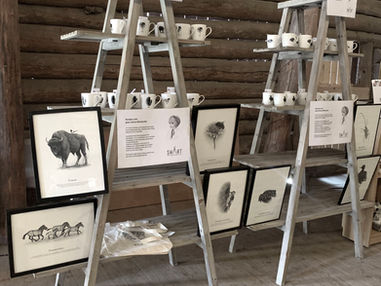 Nya illustrationer för Nordens Ark.