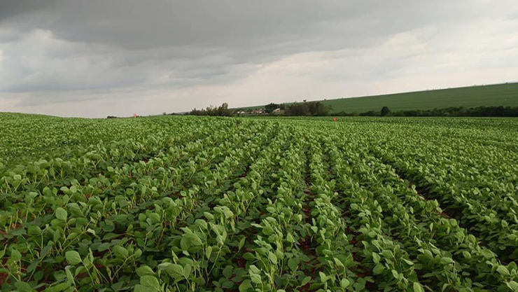 Resultados Meregefert.jpg