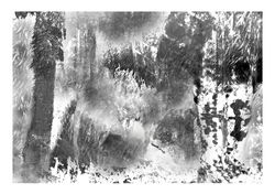 Elfriede Dreyer, Zoo city