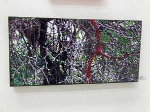 IMG_4257.jpeg