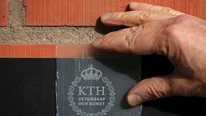 Will Transparent Wood Replace Glass in Construction?