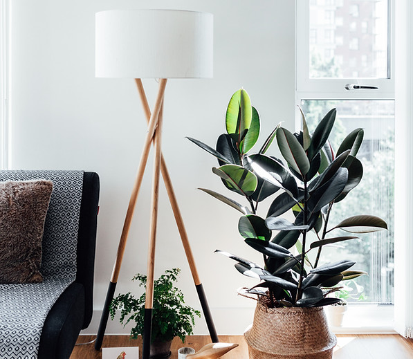 Corner of a Stylish Living Room
