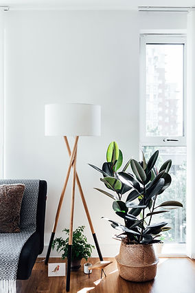 Corner of a Stylish Living Room