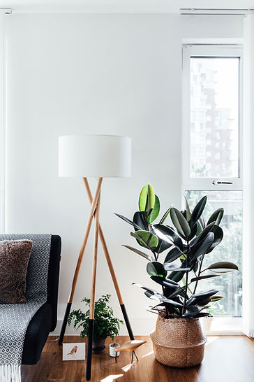 Corner of a Stylish Living Room